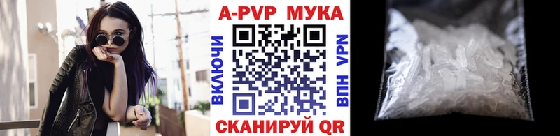 A PVP СК  Лениногорск 