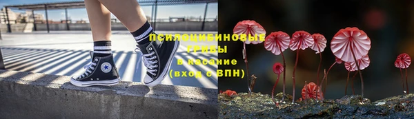 Альфа ПВП Арсеньев