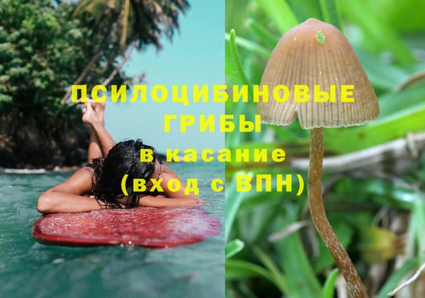 Альфа ПВП Арсеньев
